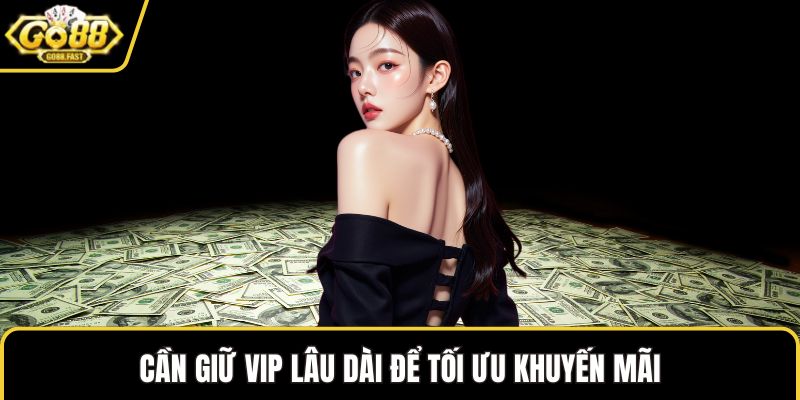 Cần giữ VIP lâu dài để tối ưu khuyến mãi