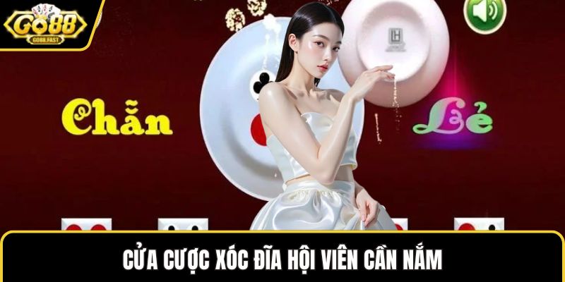 Cửa cược xóc đĩa hội viên cần nắm