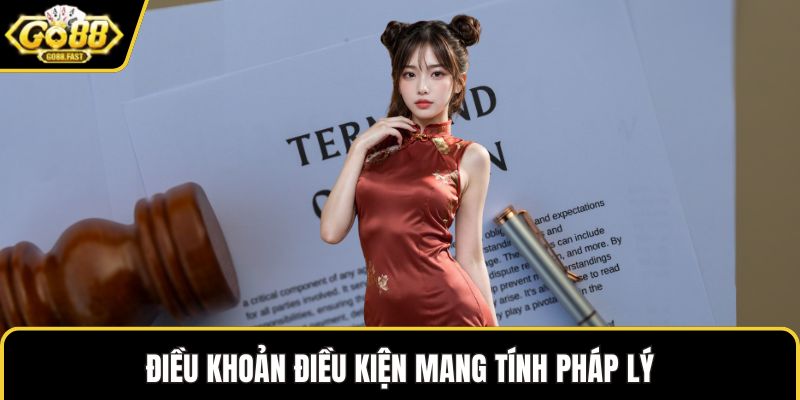 Điều khoản điều kiện mang tính pháp lý