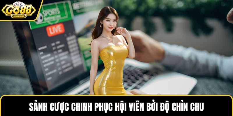 Sảnh cược chinh phục hội viên bởi độ chỉn chu