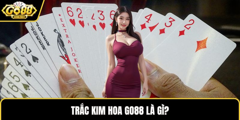 Trắc kim hoa GO88 là gì?